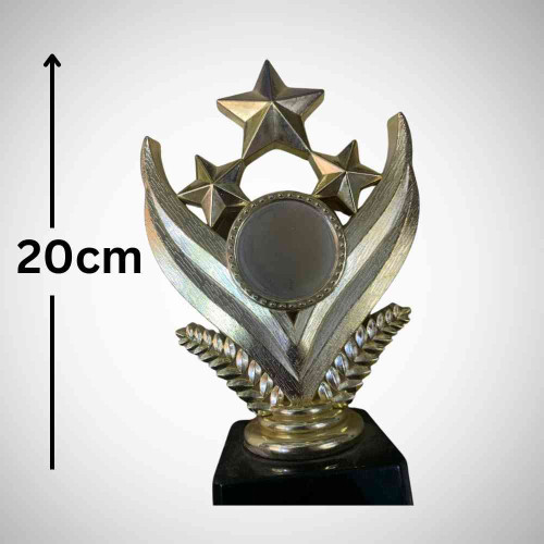 Shining Star Award (1pcs)