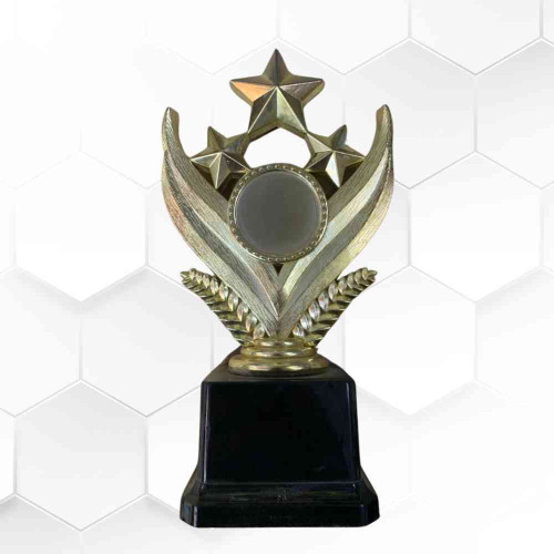 Shining Star Award (1pcs)