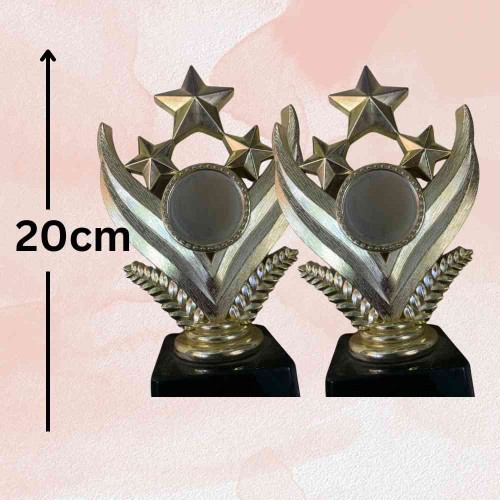 Shining Star Award (12pcs)