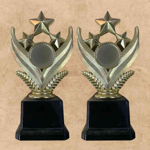 Shining Star Award (12pcs)