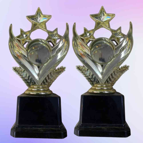 Shining Star Award (12pcs)