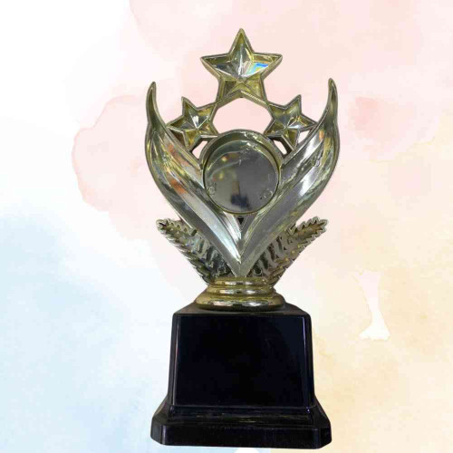 Shining Star Award (72pcs)