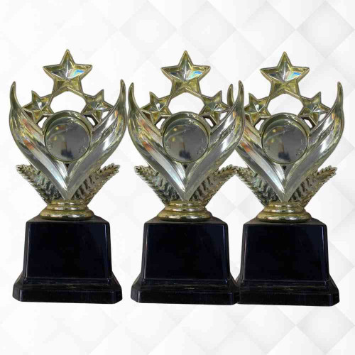 Shining Star Award (72pcs)