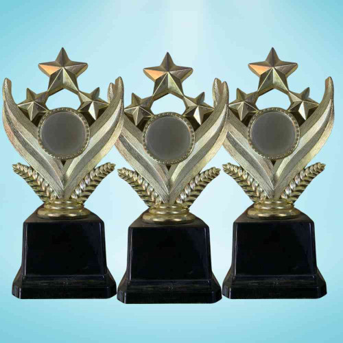 Shining Star Award (72pcs)