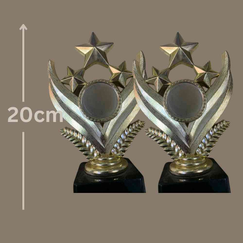 Shining Star Award (72pcs)