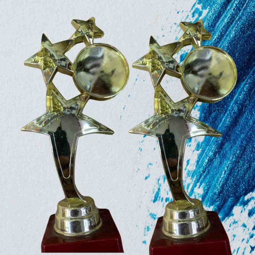 3 Star Large Trophy (12pcs)