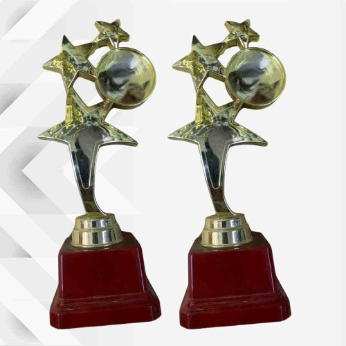 3 Star Large Trophy (12pcs)