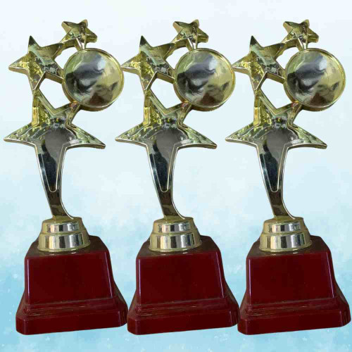 3 Star Large Trophy (72pcs)