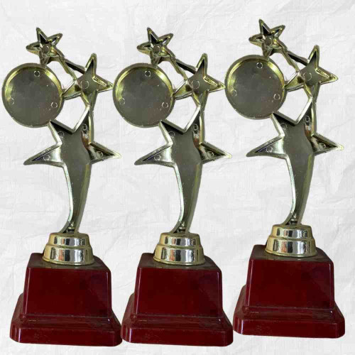 3 Star Large Trophy (72pcs)