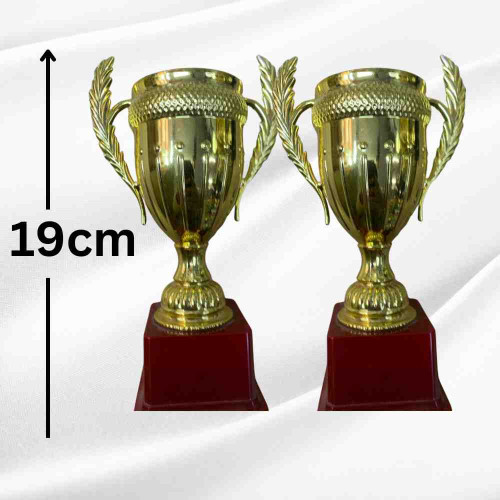 Medium Crown Trophy (12pcs)