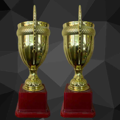 Medium Crown Trophy (12pcs)