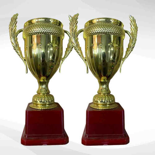 Medium Crown Trophy (12pcs)