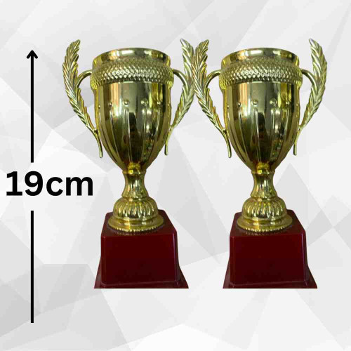 Medium Crown Trophy (72pcs)