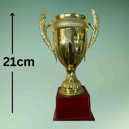 Large Size Crown Trophy (1pcs)