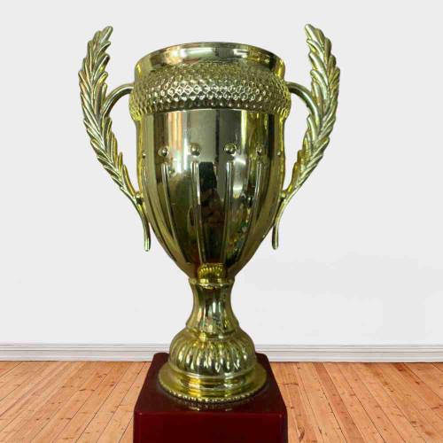 Large Size Crown Trophy (1pcs)