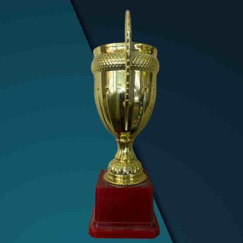 Large Size Crown Trophy (1pcs)