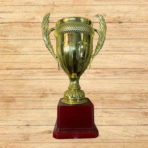 Large Size Crown Trophy (1pcs)