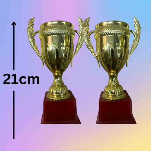 Large Size Crown Trophy (12pcs)