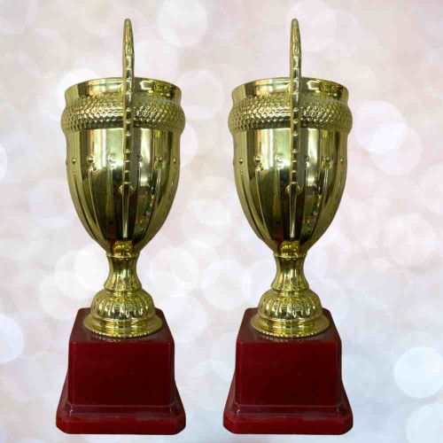 Large Size Crown Trophy (12pcs)