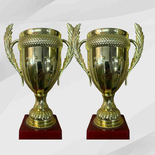 Large Size Crown Trophy (12pcs)