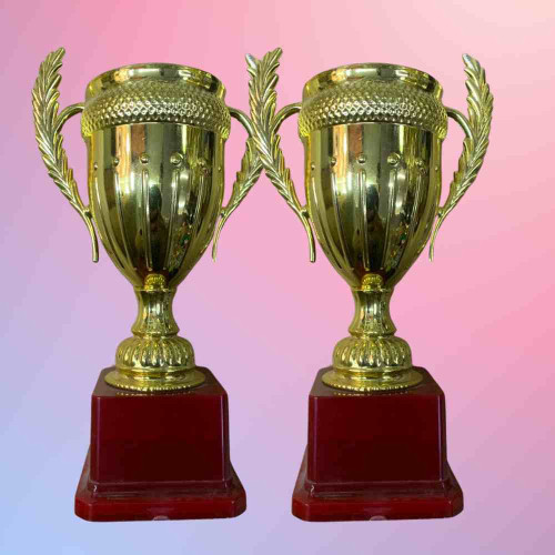 Large Size Crown Trophy (12pcs)