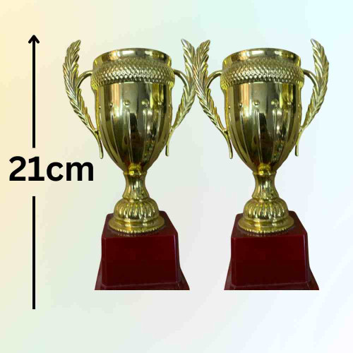 Large Size Crown Trophy (24pcs)