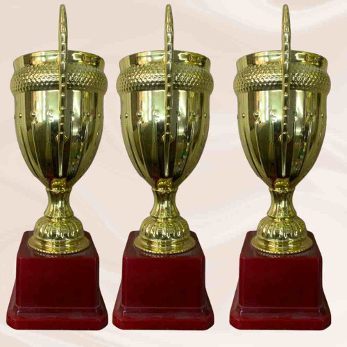 Large Size Crown Trophy (24pcs)