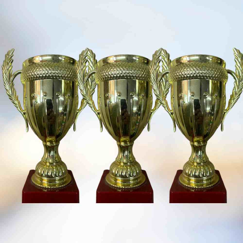 Large Size Crown Trophy (24pcs)