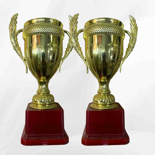 Large Size Crown Trophy (24pcs)