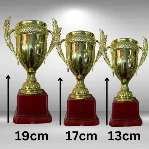 Small Crown Trophy Set (1set)