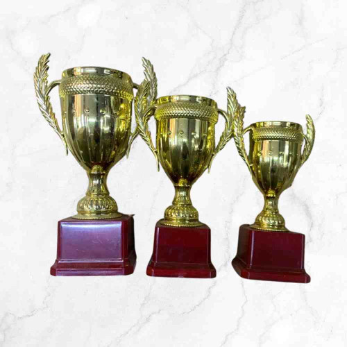 Small Crown Trophy Set (1set)