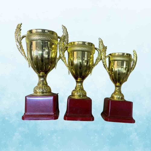 Small Crown Trophy Set (6set)