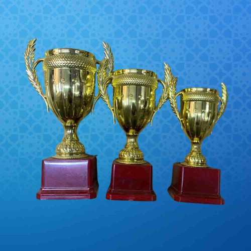 Small Crown Trophy Set (6set)