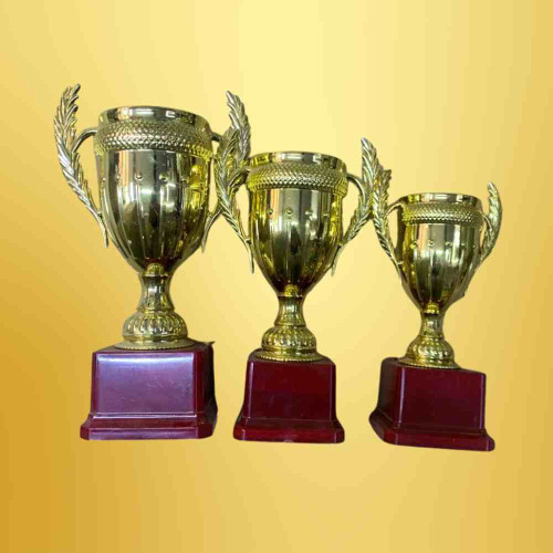 Small Crown Trophy Set (6set)