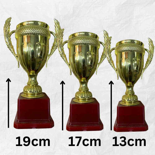 Small Crown Trophy Set (6set)