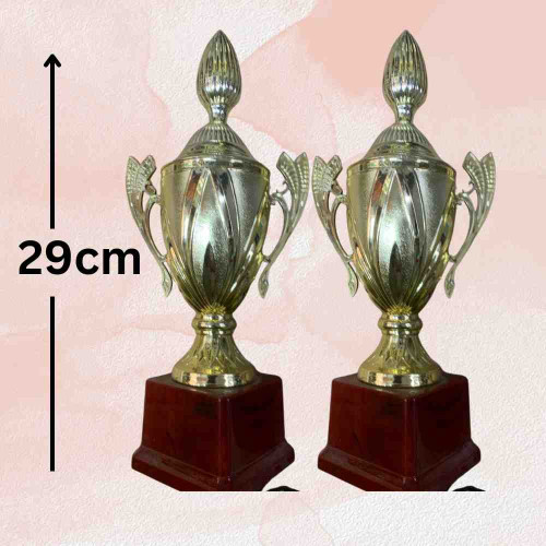 Champions Glory Trophy (12pcs)