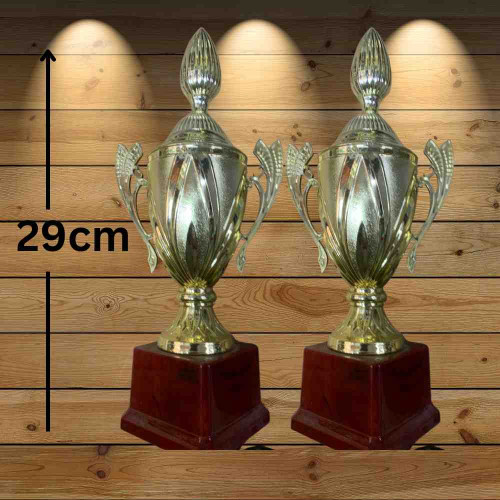 Champions Glory Trophy (72pcs)