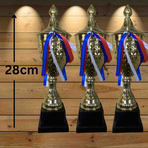 Triumph Small Trophy (72pcs)