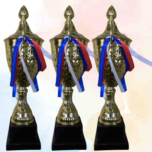 Triumph Small Trophy (72pcs)