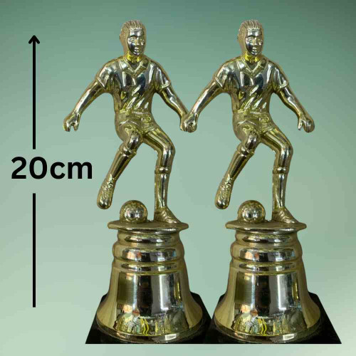 Goal Master Trophy (12pcs)