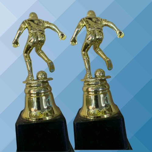 Goal Master Trophy (12pcs)