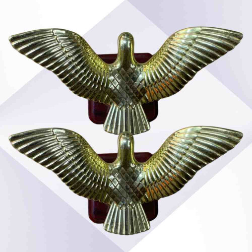 Eagle Trophy (12pcs)