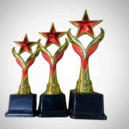 Red Star Trophy Set (6set)