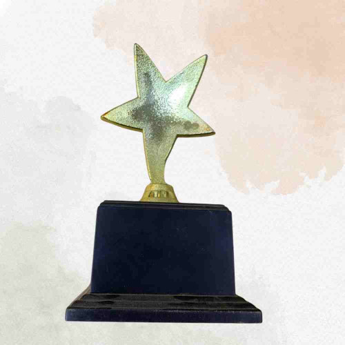 1 Star Trophy (1pcs)