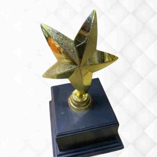 1 Star Trophy (1pcs)