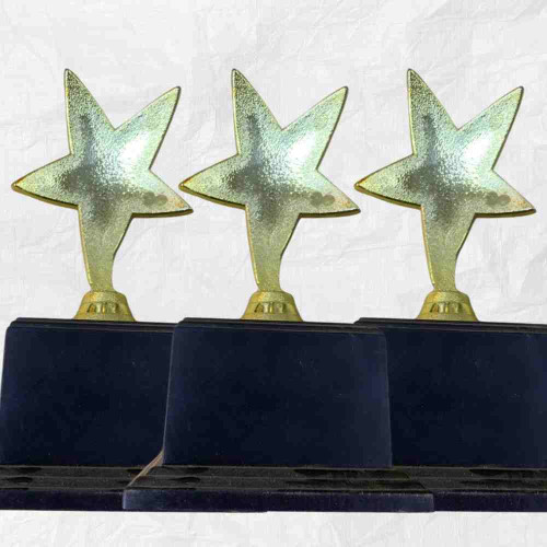 1 Star Trophy (72pcs)