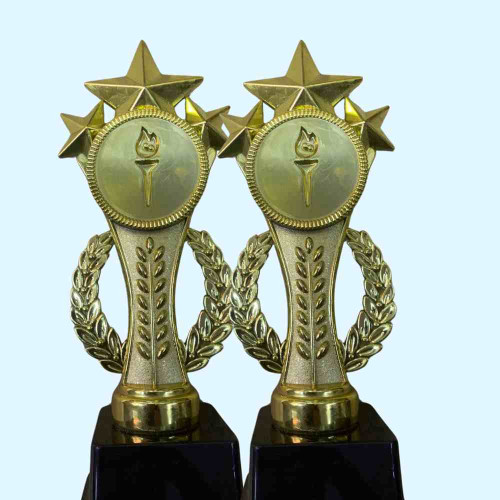 Champions Flame Trophy (12pcs)