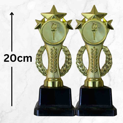 Champions Flame Trophy (72pcs)