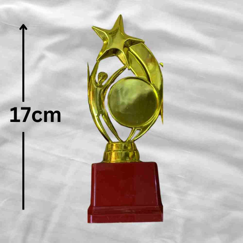 Star Performer Small Trophy (1pcs)