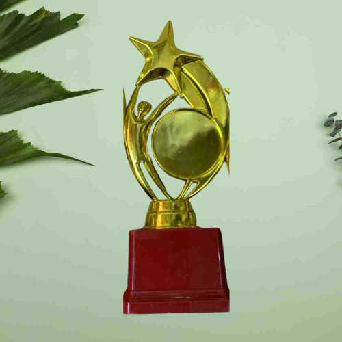 Star Performer Small Trophy (1pcs)